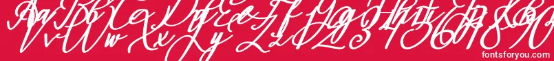 Montapallier BOLD ITALIC Font – White Fonts on Red Background