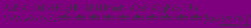 Monterchi Book trial Font – Black Fonts on Purple Background