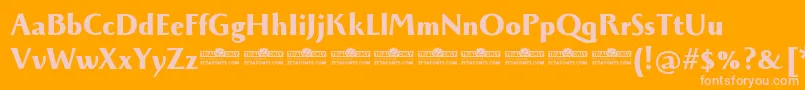 fuente Monterchi Extrabold trial – Fuentes Rosadas Sobre Fondo Naranja