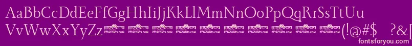 Monterchi Serif Book trial Font – Pink Fonts on Purple Background