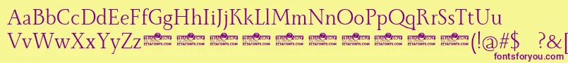 Monterchi Serif Book trial Font – Purple Fonts on Yellow Background