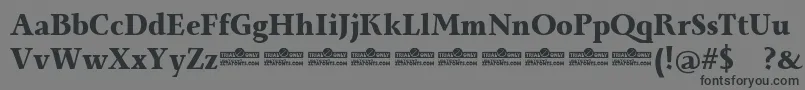 Monterchi Serif Extrabold trial-Schriftart – Schwarze Schriften auf grauem Hintergrund