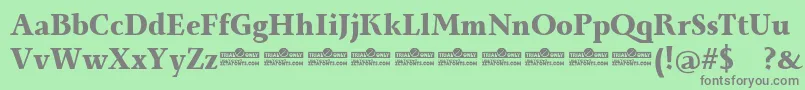 Czcionka Monterchi Serif Extrabold trial – szare czcionki na zielonym tle