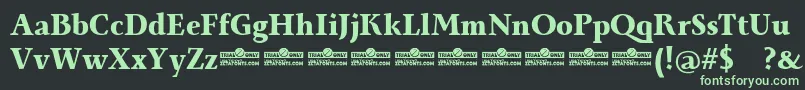 Monterchi Serif Extrabold trial Font – Green Fonts on Black Background