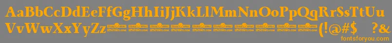Monterchi Serif Extrabold trial Font – Orange Fonts on Gray Background