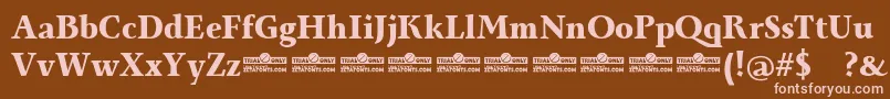 Monterchi Serif Extrabold trial Font – Pink Fonts on Brown Background