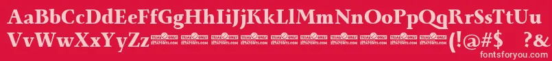 Monterchi Serif Extrabold trial Font – Pink Fonts on Red Background