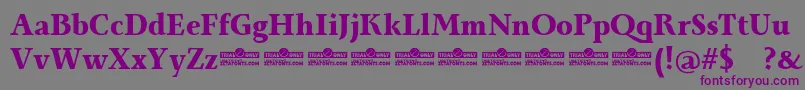 Monterchi Serif Extrabold trial-Schriftart – Violette Schriften auf grauem Hintergrund