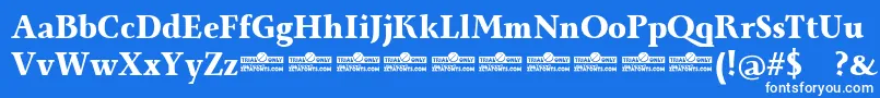Monterchi Serif Extrabold trial Font – White Fonts on Blue Background