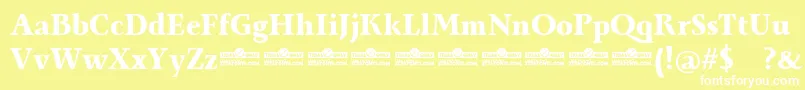フォントMonterchi Serif Extrabold trial – 黄色い背景に白い文字
