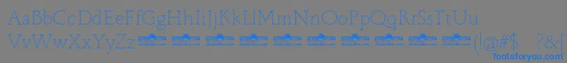 Monterchi Serif Thin trial Font – Blue Fonts on Gray Background