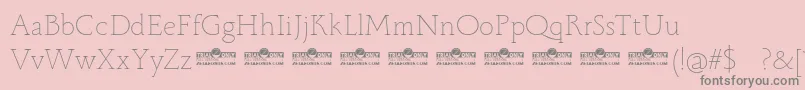 Monterchi Serif Thin trial Font – Gray Fonts on Pink Background