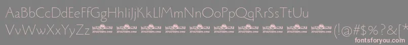 Monterchi Thin trial Font – Pink Fonts on Gray Background