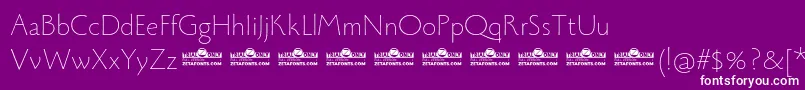 Monterchi Thin trial-Schriftart – Weiße Schriften auf violettem Hintergrund