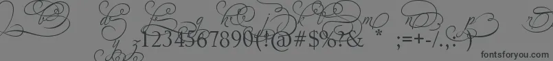 フォントAdiosScriptAltIvAndOrns – 黒い文字の灰色の背景