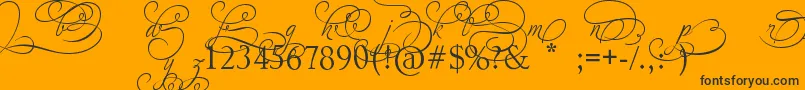 AdiosScriptAltIvAndOrns Font – Black Fonts on Orange Background