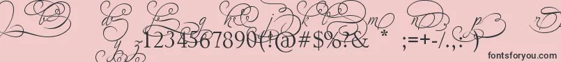 AdiosScriptAltIvAndOrns Font – Black Fonts on Pink Background