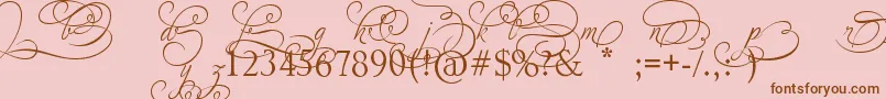 AdiosScriptAltIvAndOrns Font – Brown Fonts on Pink Background