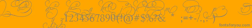 AdiosScriptAltIvAndOrns Font – Gray Fonts on Orange Background