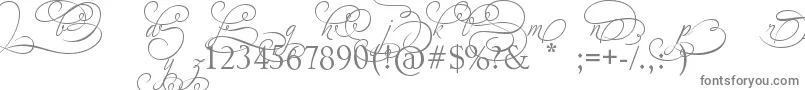 AdiosScriptAltIvAndOrns Font – Gray Fonts
