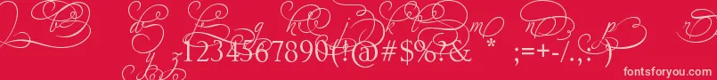 AdiosScriptAltIvAndOrns Font – Pink Fonts on Red Background