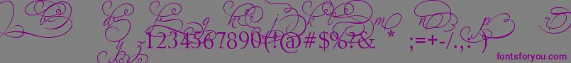 フォントAdiosScriptAltIvAndOrns – 紫色のフォント、灰色の背景