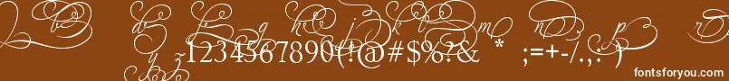 AdiosScriptAltIvAndOrns Font – White Fonts on Brown Background