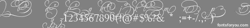 Fonte AdiosScriptAltIvAndOrns – fontes brancas em um fundo cinza