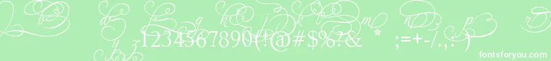 AdiosScriptAltIvAndOrns Font – White Fonts on Green Background