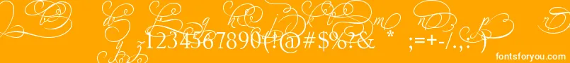 フォントAdiosScriptAltIvAndOrns – オレンジの背景に白い文字