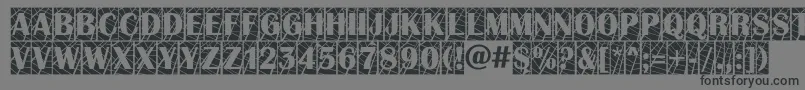 AAlbionictitulcmwb-Schriftart – Schwarze Schriften auf grauem Hintergrund
