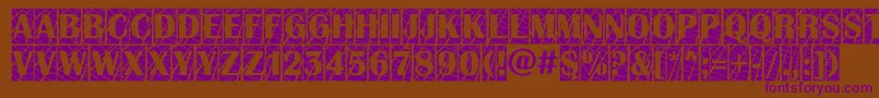 AAlbionictitulcmwb Font – Purple Fonts on Brown Background