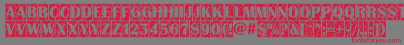 AAlbionictitulcmwb Font – Red Fonts on Gray Background