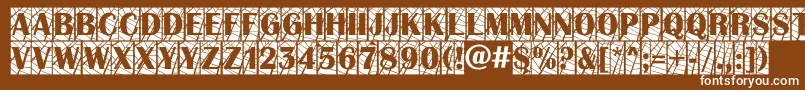 AAlbionictitulcmwb Font – White Fonts on Brown Background