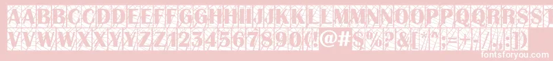 AAlbionictitulcmwb Font – White Fonts on Pink Background