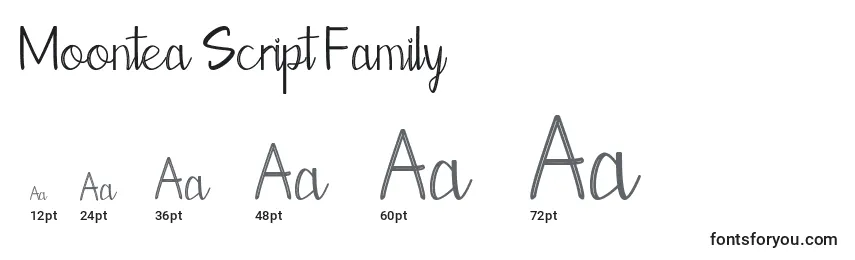 Размеры шрифта Moontea Script Family