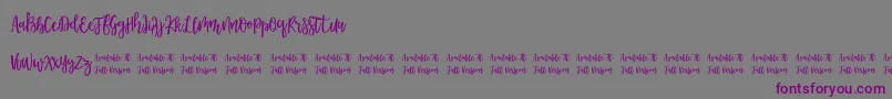 Morable Font – Purple Fonts on Gray Background