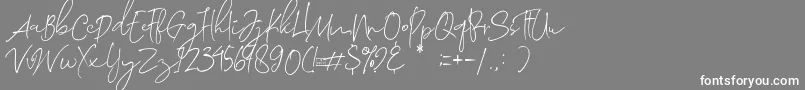 フォントMorosyot Demo – 灰色の背景に白い文字