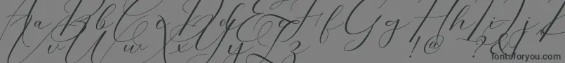 Lisätietoja Morris Script-fontista Morris Script-fontti – mustat fontit harmaalla taustalla
