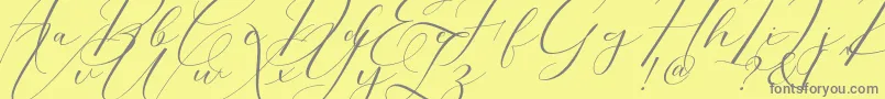 Fonte Morris Script – fontes cinzas em um fundo amarelo