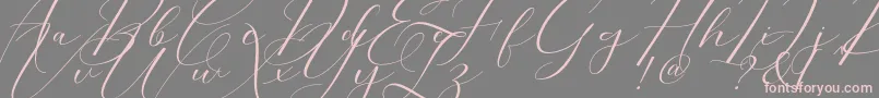 Morris Script-Schriftart – Rosa Schriften auf grauem Hintergrund