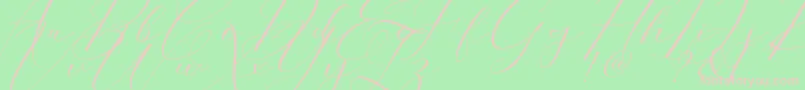 Morris Script Font – Pink Fonts on Green Background