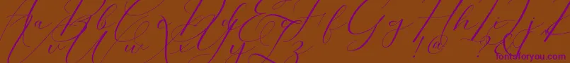 Morris Script Font – Purple Fonts on Brown Background