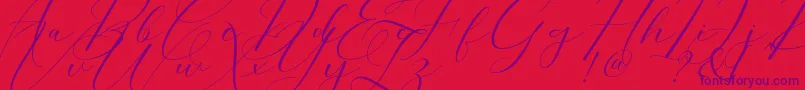 Morris Script Font – Purple Fonts on Red Background