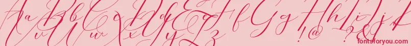 Fonte Morris Script – fontes vermelhas em um fundo rosa