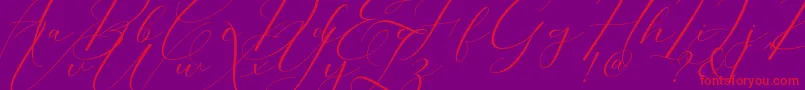 fuente Morris Script – Fuentes Rojas Sobre Fondo Morado