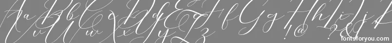 Morris Script-Schriftart – Weiße Schriften auf grauem Hintergrund