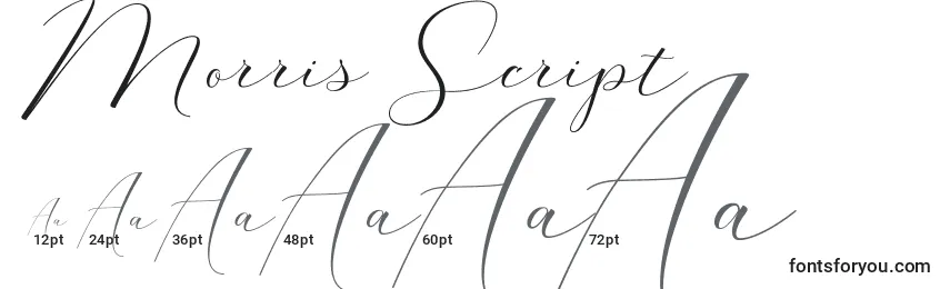Размеры шрифта Morris Script