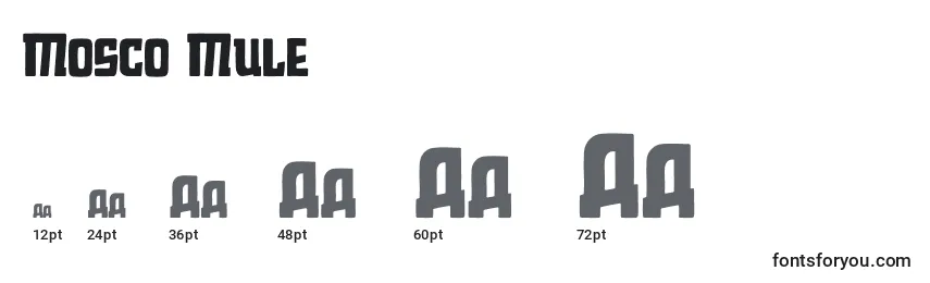 Mosco Mule Font Sizes