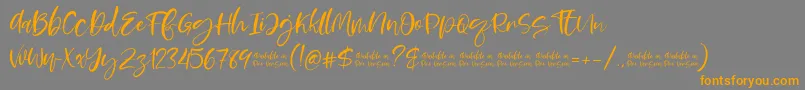 Moskova Font – Orange Fonts on Gray Background